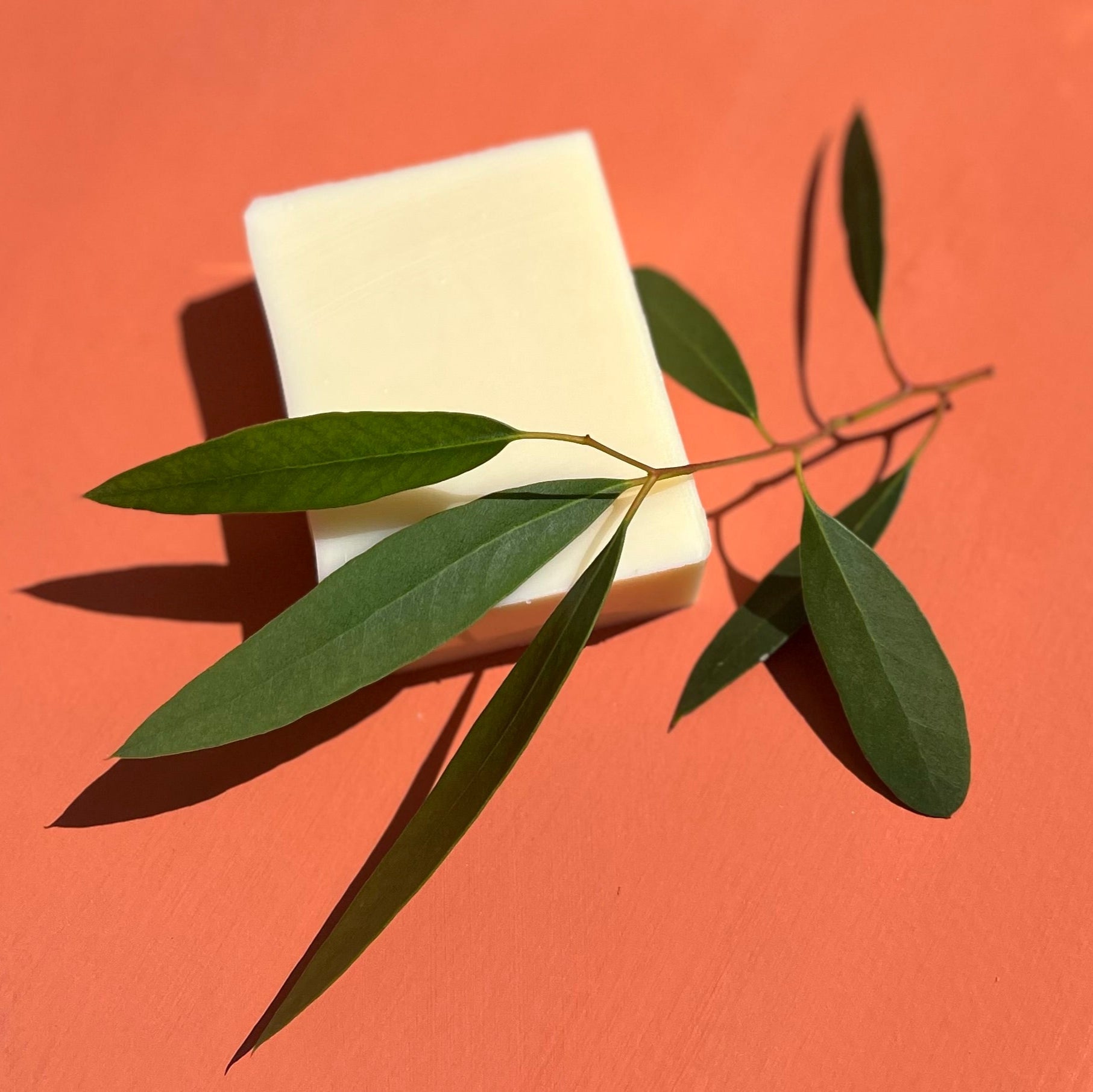 Bar of soap with a green leaf on an orange background