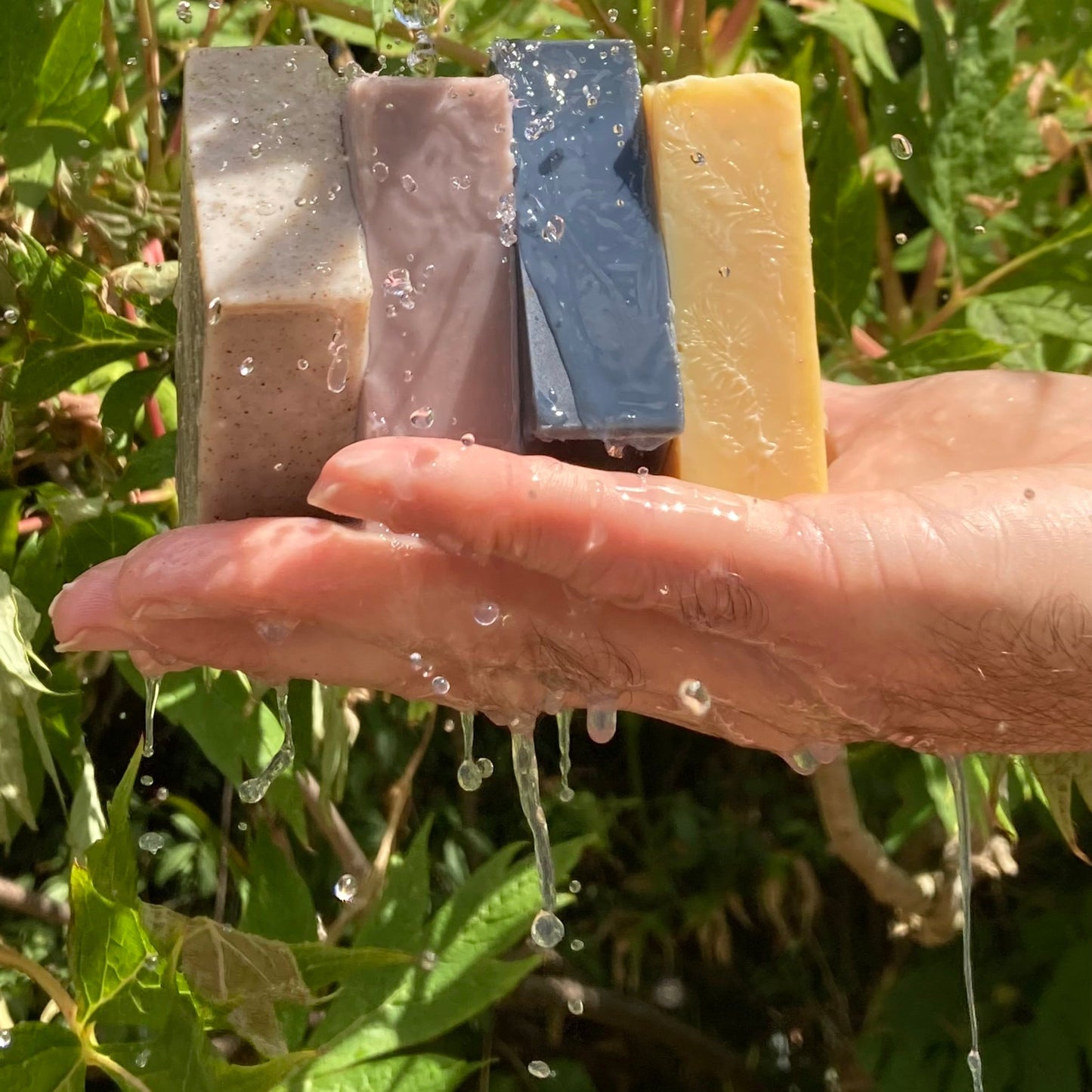 Hand holding four bars of soap with water droplets against a green leafy background