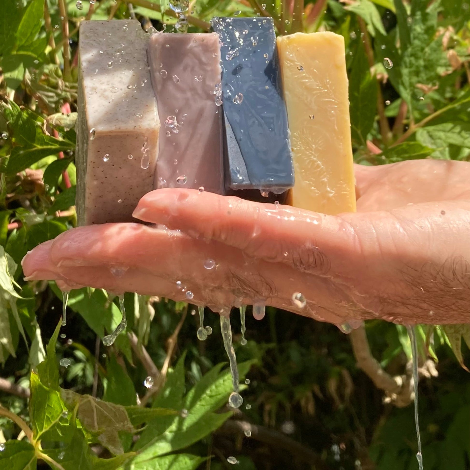 Hand holding four bars of soap with water droplets against a green leafy background