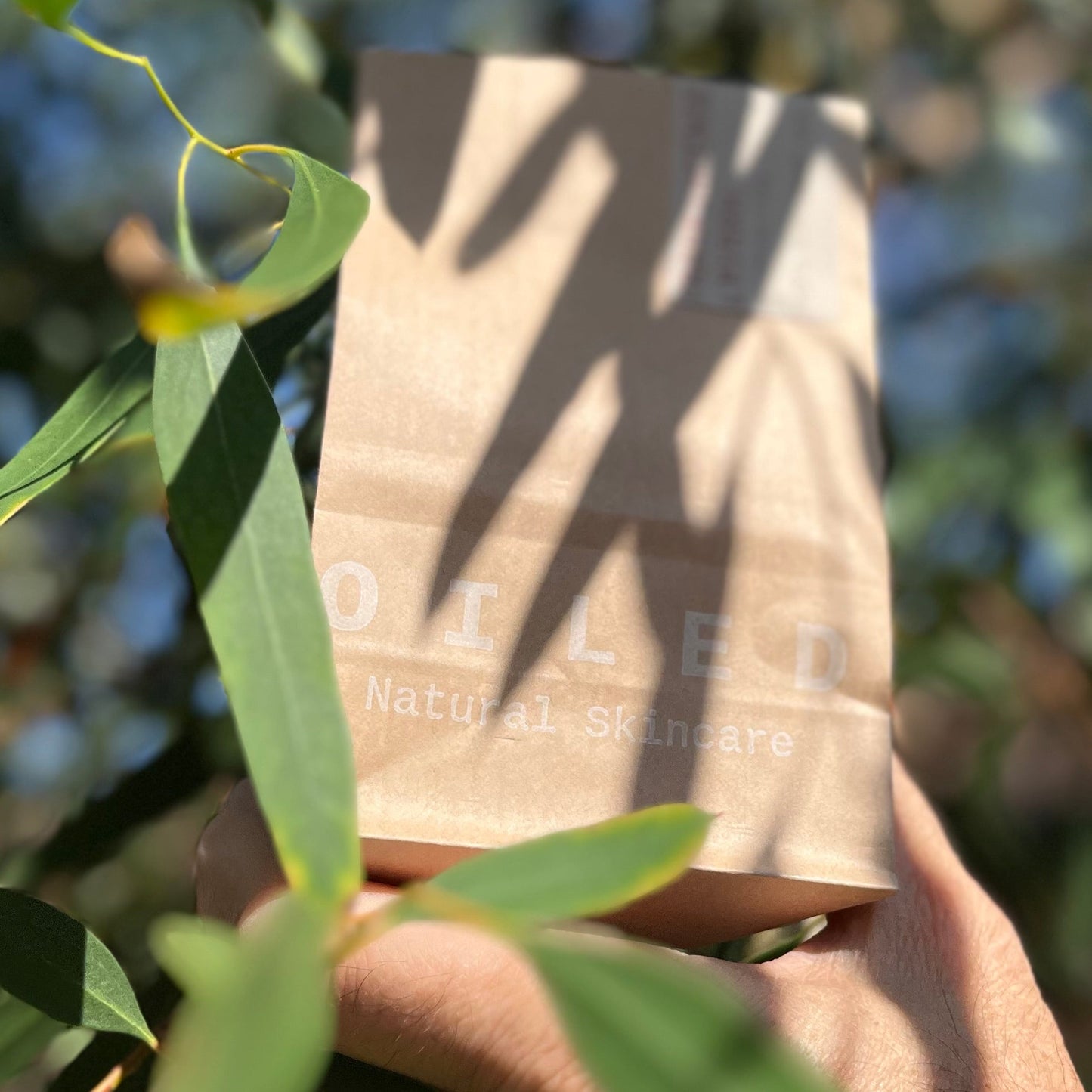 Hand holding a brown paper bag with 'Oiled' branding against a blurred natural background